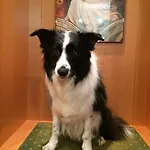 Отель Della Rotonda Саронно